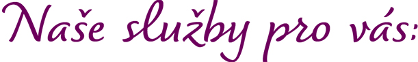 Služby 91